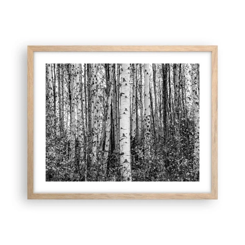 Plakat w ramie jasny dąb - Brzozowa kolumnada - 50x40 cm