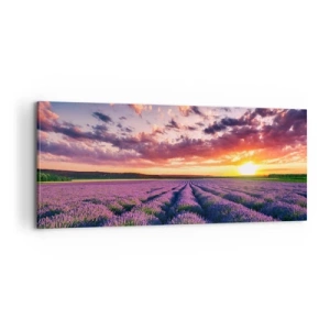 Obraz na płótnie - Lawendowy świat - 100x40 cm