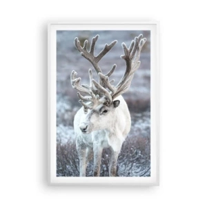 Plakat w białej ramie - Portret w słońcu - 61x91 cm