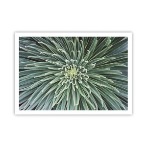 Plakat - Symetryczny układ zielonych liści przypominający gwiazdę - 100x70cm - Narodziny gwiazdy - Nowoczesna dekoracja ścienna do salonu i sypialni ARTTOR