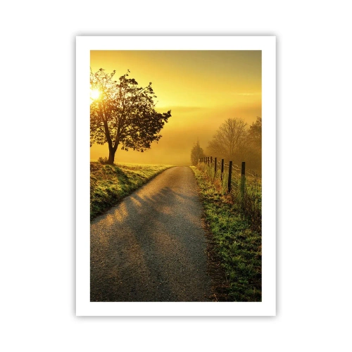Plakat - Droga wśród pól o wschodzie słońca - 50x70cm - Miodne popołudnie - Nowoczesna dekoracja ścienna do salonu, kuchni i sypialni ARTTOR