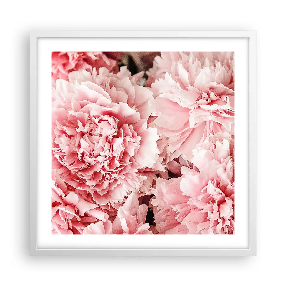 Plakat w białej ramie - Różowe marzenie - 50x50 cm