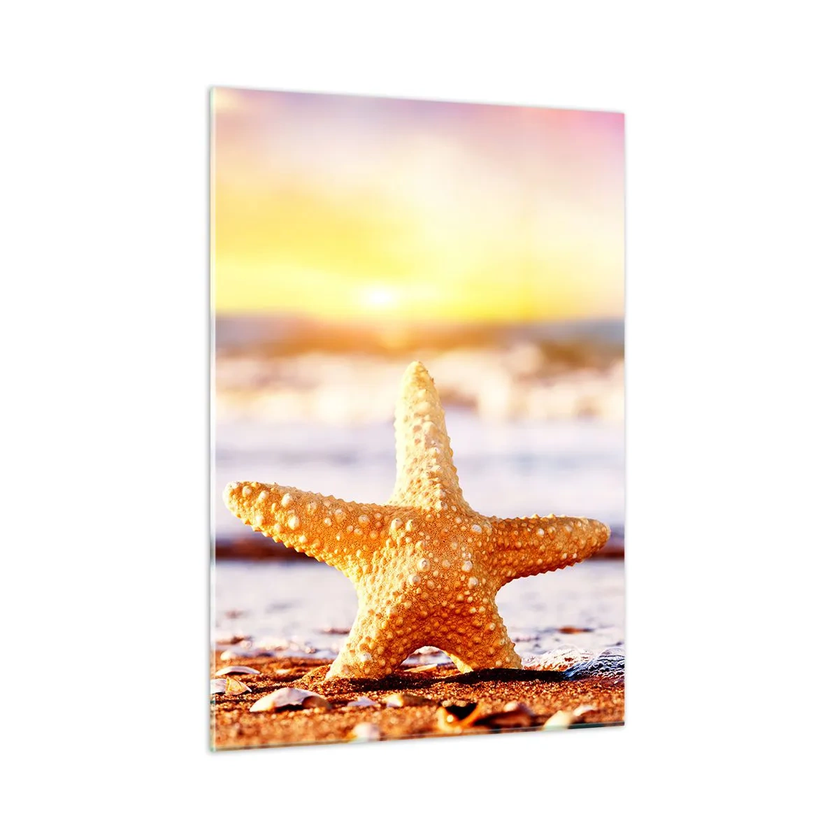 Obraz na szkle - Rozgwiazda na plaży w świetle zachodzącego słońca - 50x70cm - Morski podarunek - Nowoczesna dekoracja ścienna do salonu, kuchni i sypialni ARTTOR