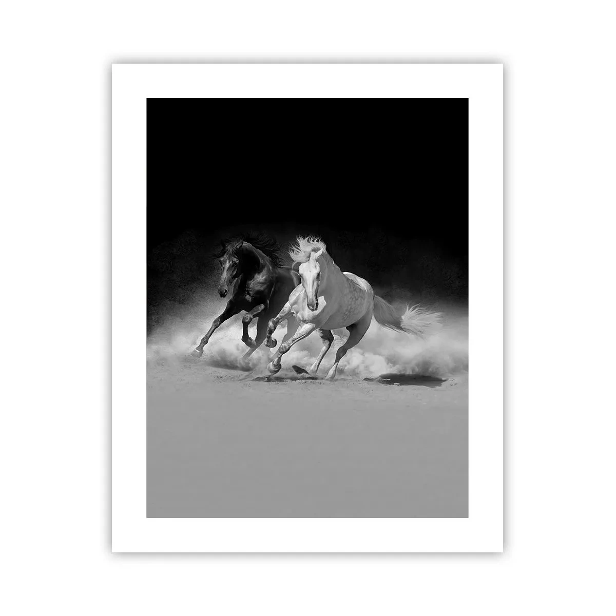 Plakat - Galop wolności - 40x50 cm