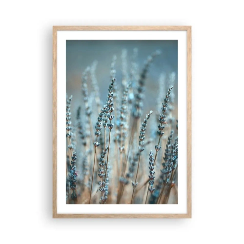 Plakat w ramie jasny dąb - Pachnący łan - 50x70 cm