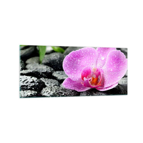 Obraz na szkle - Różowa orchidea na mokrych czarnych kamieniach z zielonymi liśćmi - 120x50cm - Jak otwarte serce - Nowoczesna dekoracja ścienna do salonu i sypialni ARTTOR