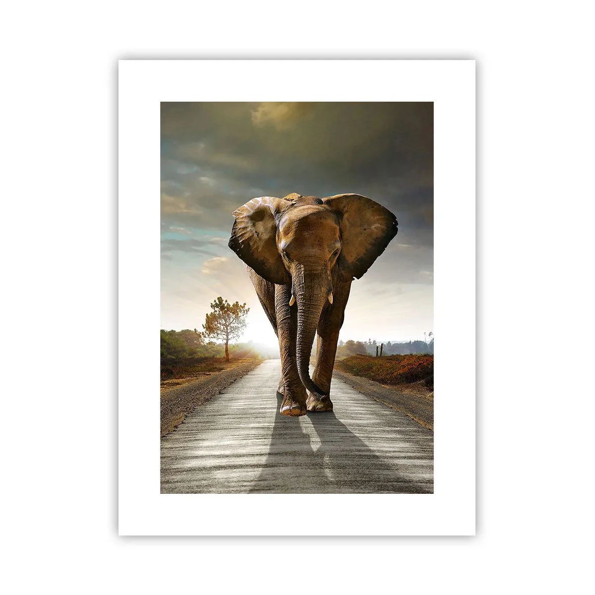 Plakat - I wcale nie w składzie porcelany - 30x40 cm