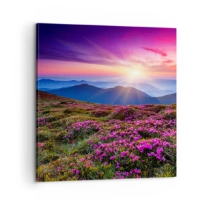 Obraz na płótnie - Ziół zapachniały świeże pęki od niw - 60x60 cm