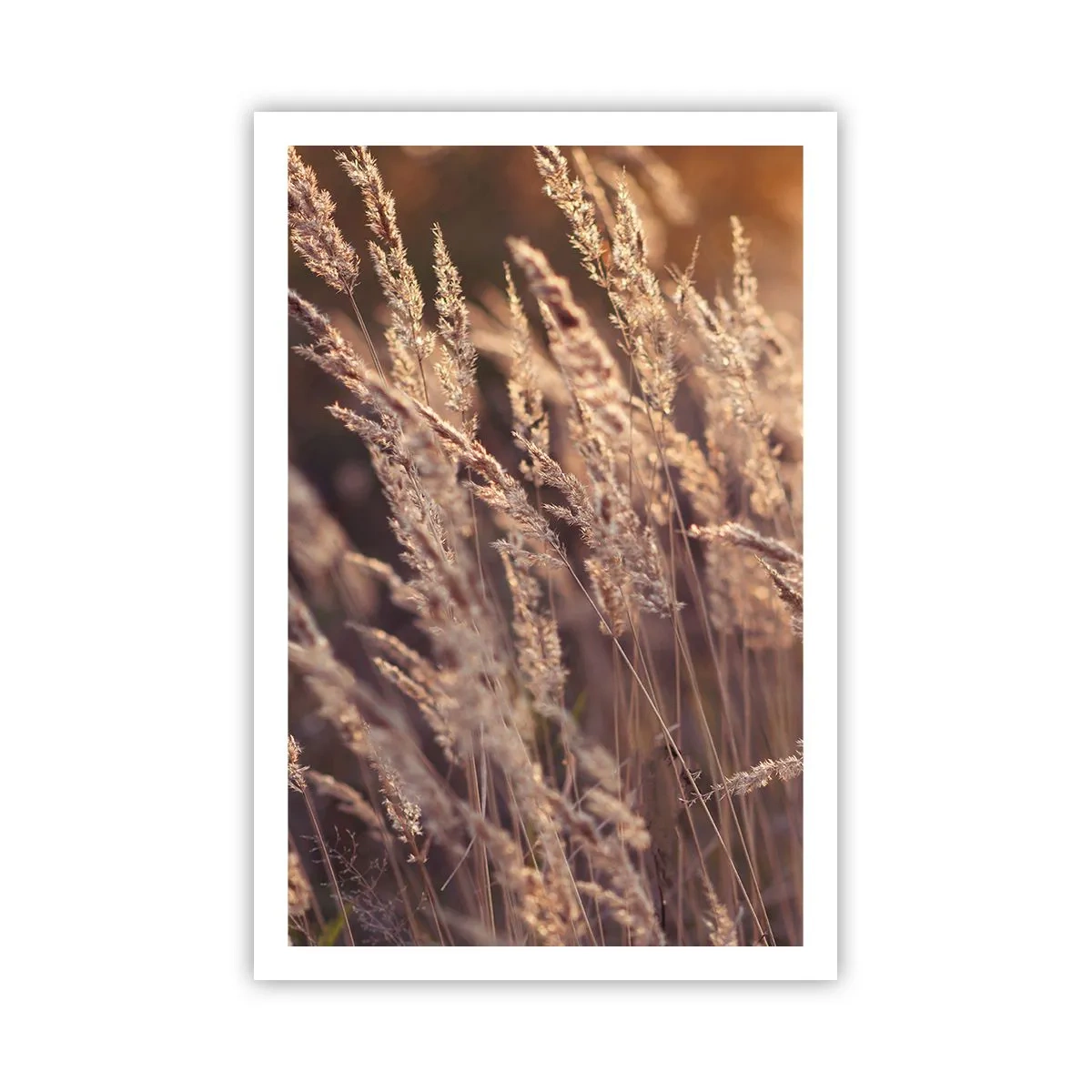 Plakat - Gotowe na powitanie jesieni - 61x91 cm