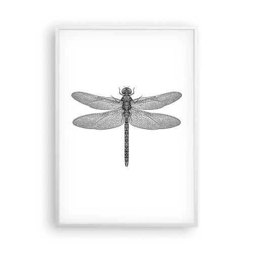 Plakat w białej ramie - Precyzja natury - 70x100 cm