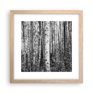 Plakat w ramie jasny dąb - Brzozowa kolumnada - 30x30 cm