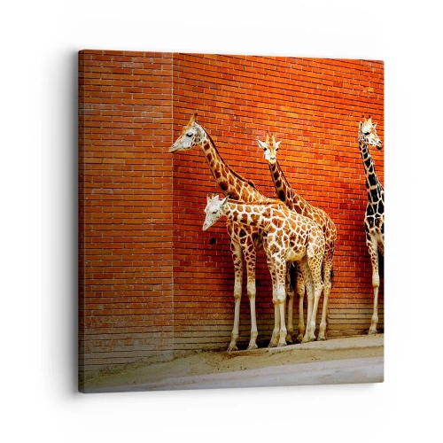 Obraz na płótnie - Widzicie jakąś akację? - 30x30 cm