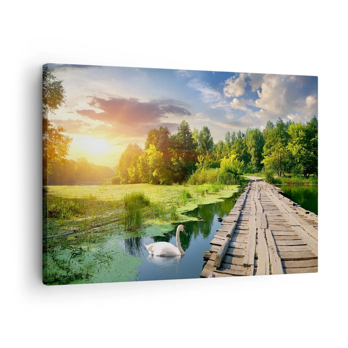 Obraz na płótnie - Malowniczy krajobraz z mostkiem i łabędziem - 70x50cm - Lato, lato wszędzie - Nowoczesna dekoracja ścienna do salonu i sypialni ARTTOR
