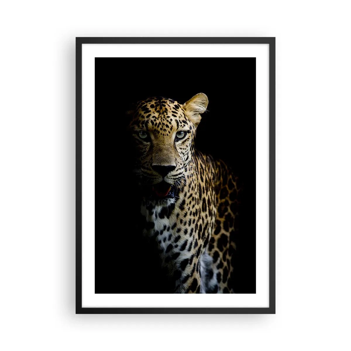 Plakat w czarnej ramie - Leopard na tle ciemnego tła z wyrazistymi detalami sierści - 50x70cm - Mroczne piękno - Nowoczesna dekoracja ścienna do salonu i sypialni ARTTOR