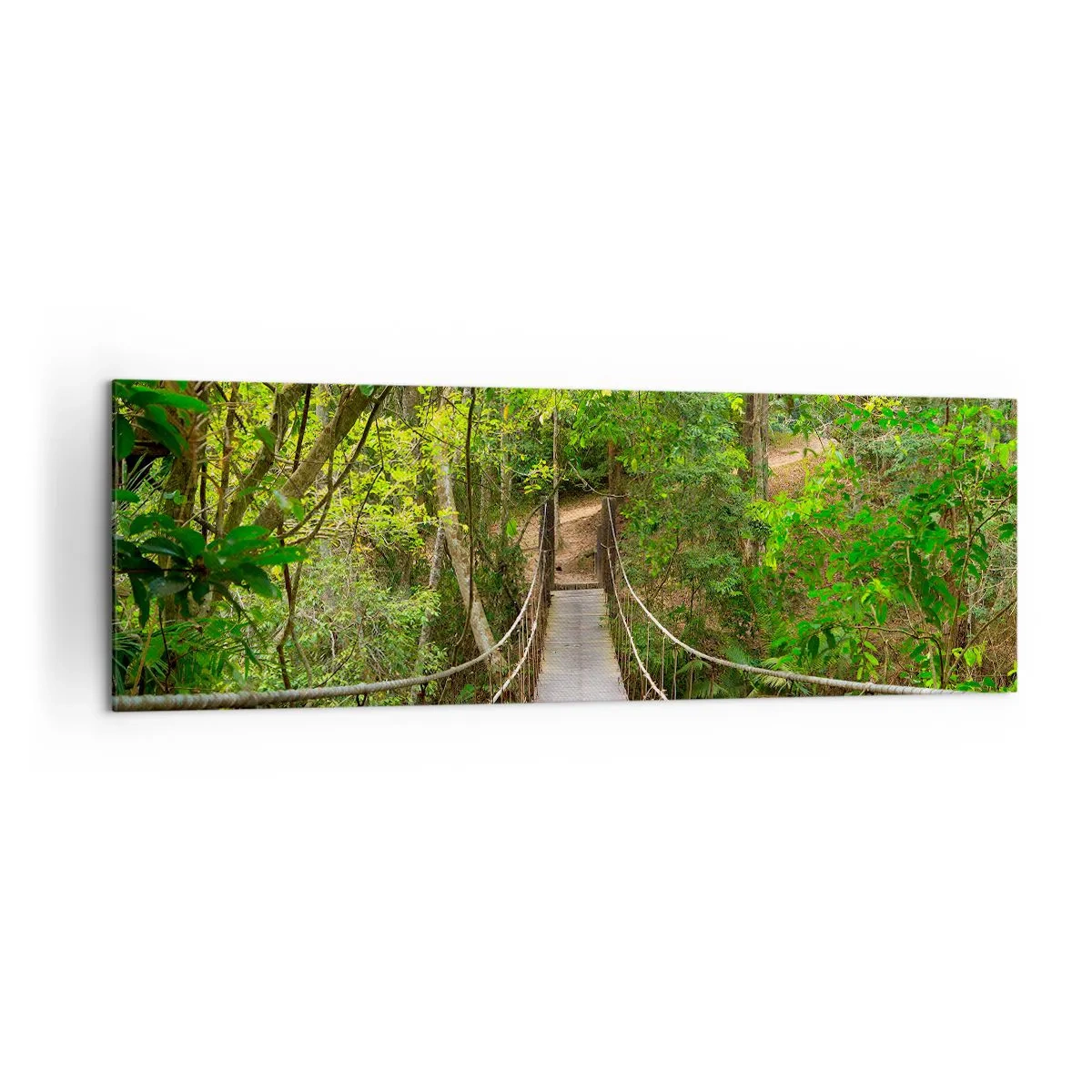 Obraz na płótnie - Wiszący most w otoczeniu zielonego lasu deszczowego - 160x50cm - Bo w ogrodzie rośnie pnącze - Nowoczesna dekoracja ścienna do salonu i sypialni ARTTOR