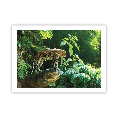 Plakat - Na łowy? - 70x50 cm