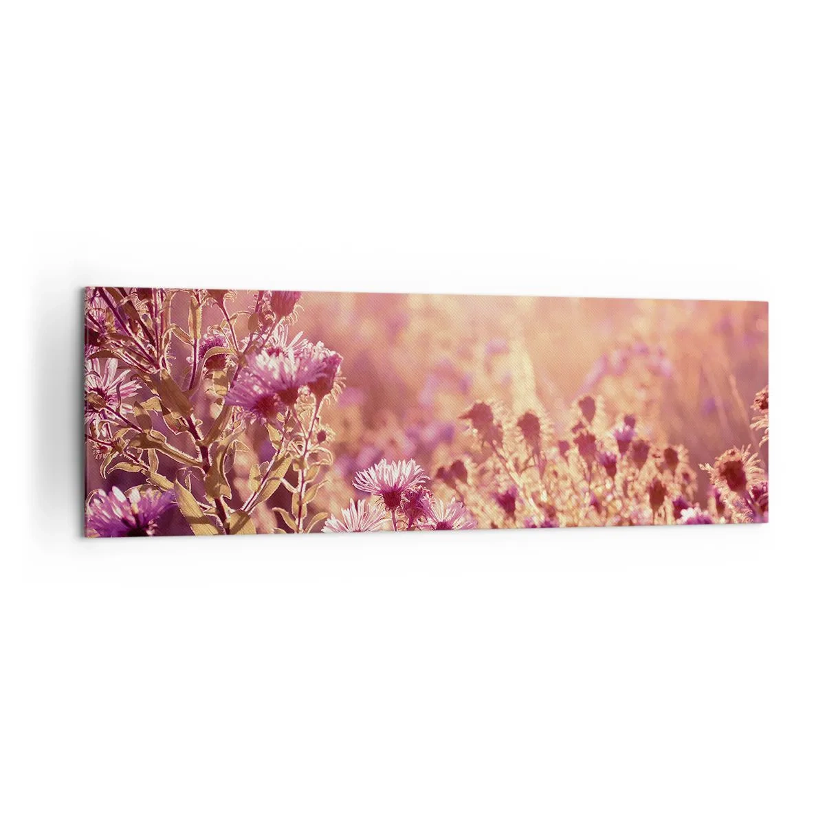 Obraz na płótnie - Łąka w świetle zachodzącego słońca - 160x50cm - Przed odejściem lata - Nowoczesna dekoracja ścienna do salonu i sypialni ARTTOR