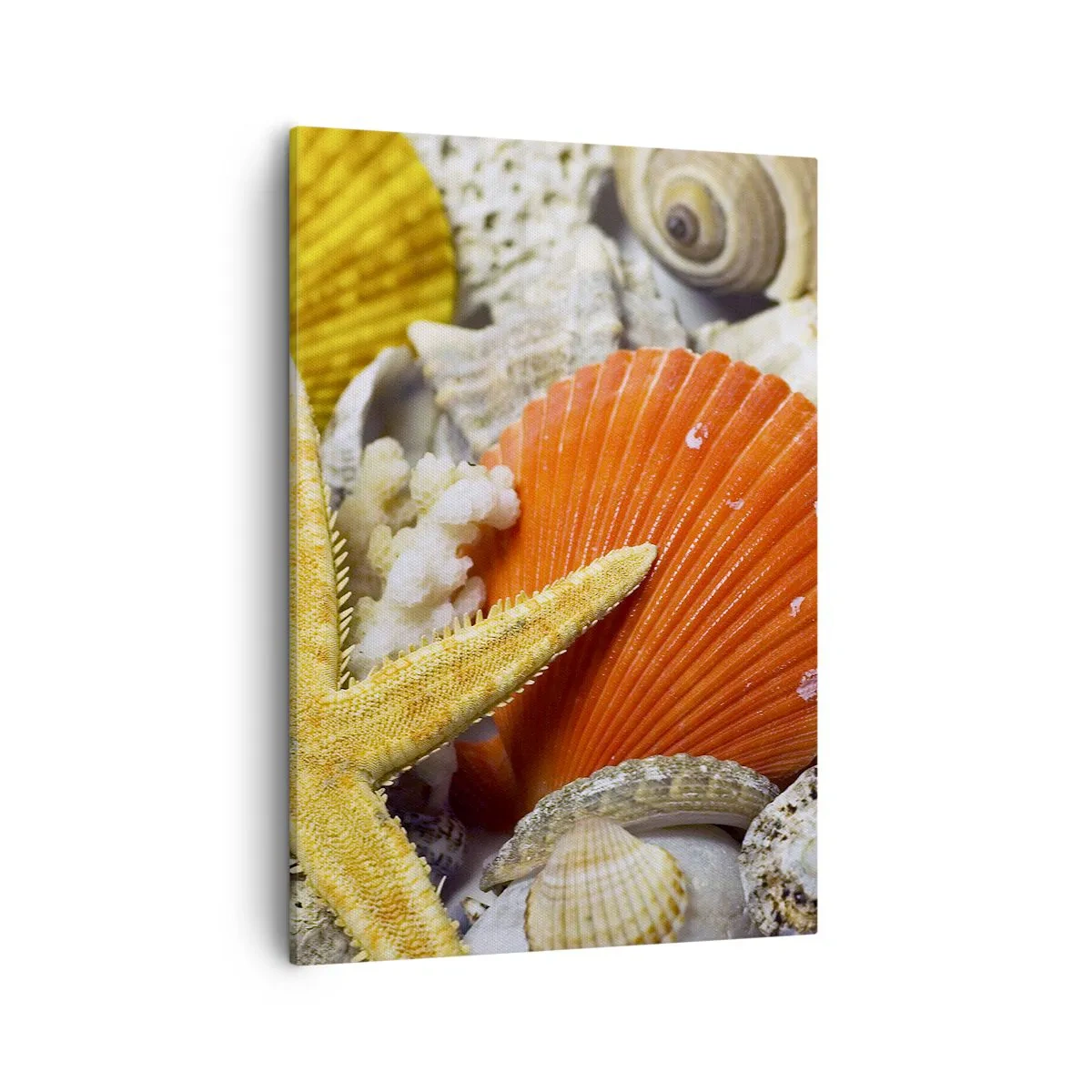 Obraz na płótnie - Zbliżenie na muszle i rozgwiazdę w wakacyjnym klimacie - 50x70cm - Skarby oceanu - Nowoczesna dekoracja ścienna do salonu, kuchni i sypialni ARTTOR