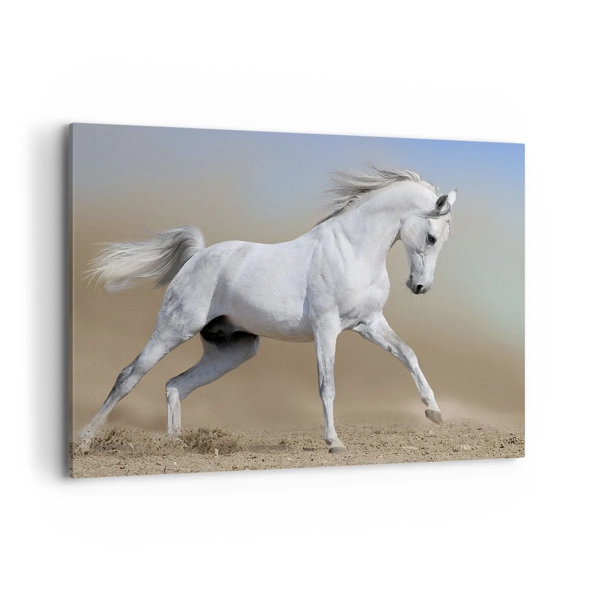 Obraz na płótnie - Biały koń galopujący po pustynnym krajobrazie - 120x80cm - Najpiękniejsza arabska baśń - Nowoczesna dekoracja ścienna do salonu, kuchni i sypialni ARTTOR