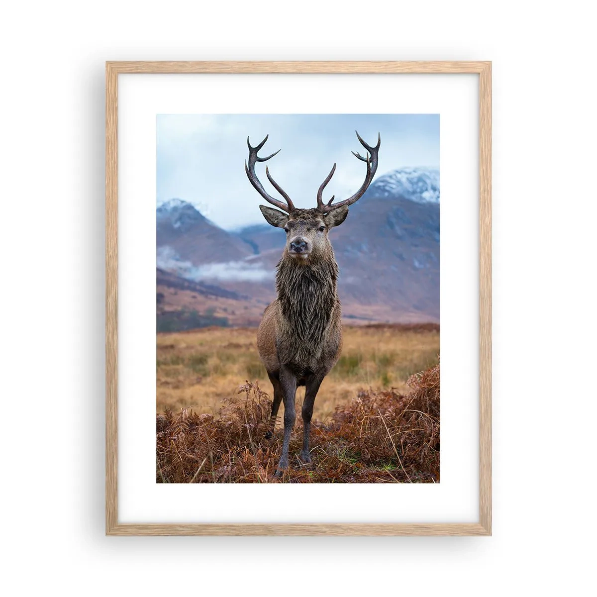 Plakat w ramie jasny dąb - Na własnej ziemi - 40x50 cm