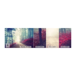 Fototapeta Próbka Standard Eco - Jak dobrze wstać skoro świt - Krajobraz, Las, Leśna Droga - 100x30 cm