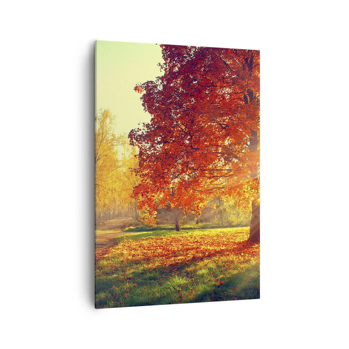 Obraz na płótnie - Jesienny park oświetlony promieniami słońca - 70x100cm - Rude jest piękne - Nowoczesna dekoracja ścienna do salonu i sypialni ARTTOR