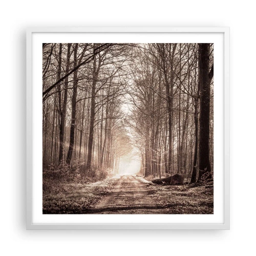 Plakat w białej ramie - Leśna katedra - 60x60 cm