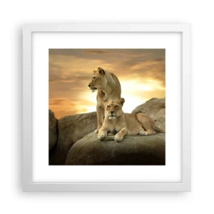 Plakat w białej ramie - Królewski majestat - 30x30 cm