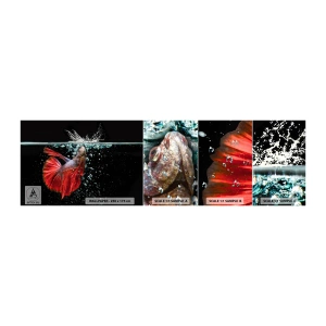Fototapeta Próbka Samoprzylepna Deluxe Sticker - Masz trzy życzenia - Abstrakcja, Akwarium, Ryba - 100x30 cm