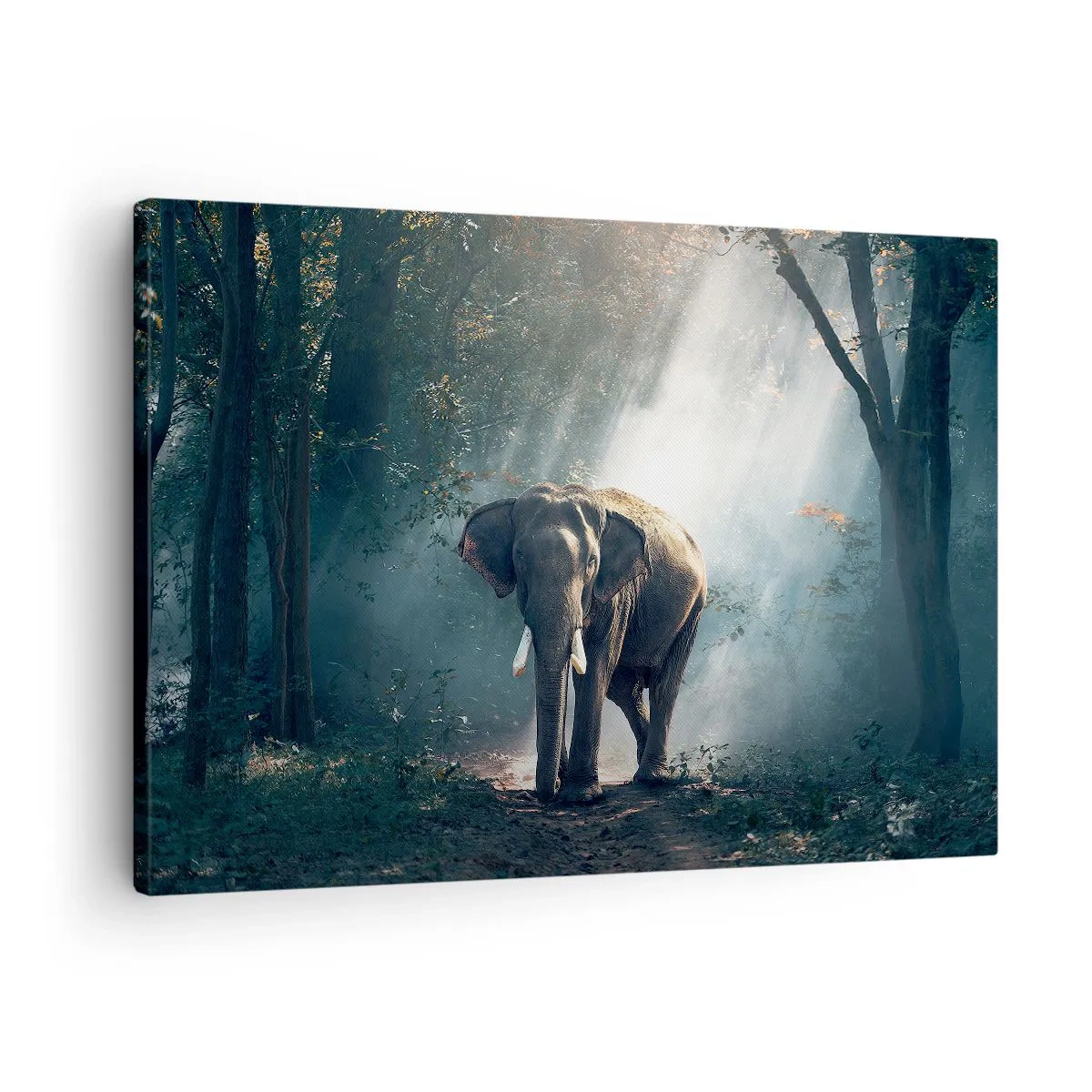 Obraz na płótnie - Słoń w świetle lasu - 70x50cm - Spokojna przechadzka - Nowoczesna dekoracja ścienna do salonu i sypialni ARTTOR
