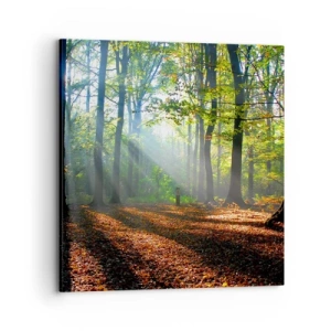 Obraz na płótnie - Blaski i cienie - 70x70 cm