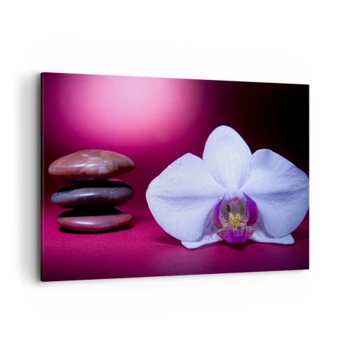 Obraz na płótnie - Biała orchidea i kamienie na różowym tle - 100x70cm - Studium świeżości w fiolecie - Nowoczesna dekoracja ścienna do salonu, kuchni i sypialni ARTTOR