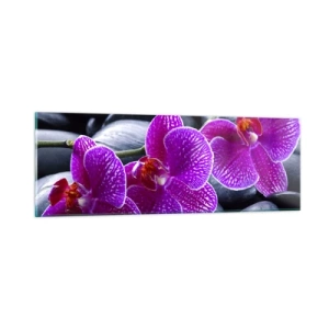 Obraz na szkle - Kamienie pojaśniały z zachwytu - 90x30 cm