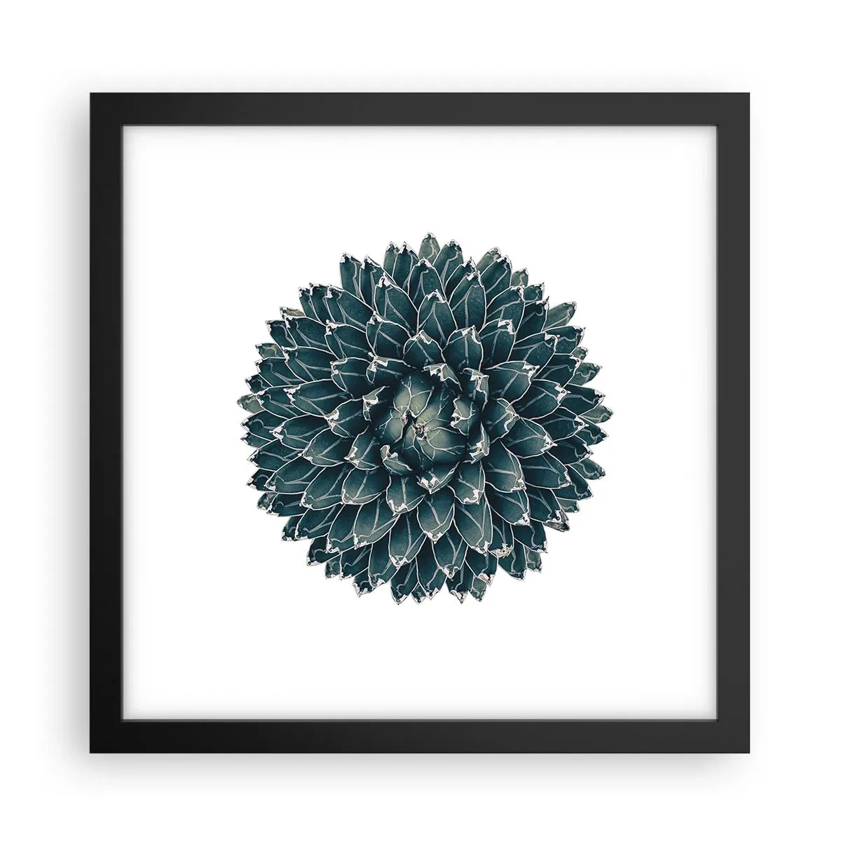 Plakat w czarnej ramie - Gwiazda pustyni - 30x30 cm