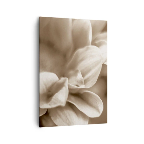 Obraz na płótnie - Zbliżenie kwiatów w delikatnej sepii o miękkich konturach - 70x100cm - Łagodne jak uśmiech - Nowoczesna dekoracja ścienna do salonu i sypialni ARTTOR