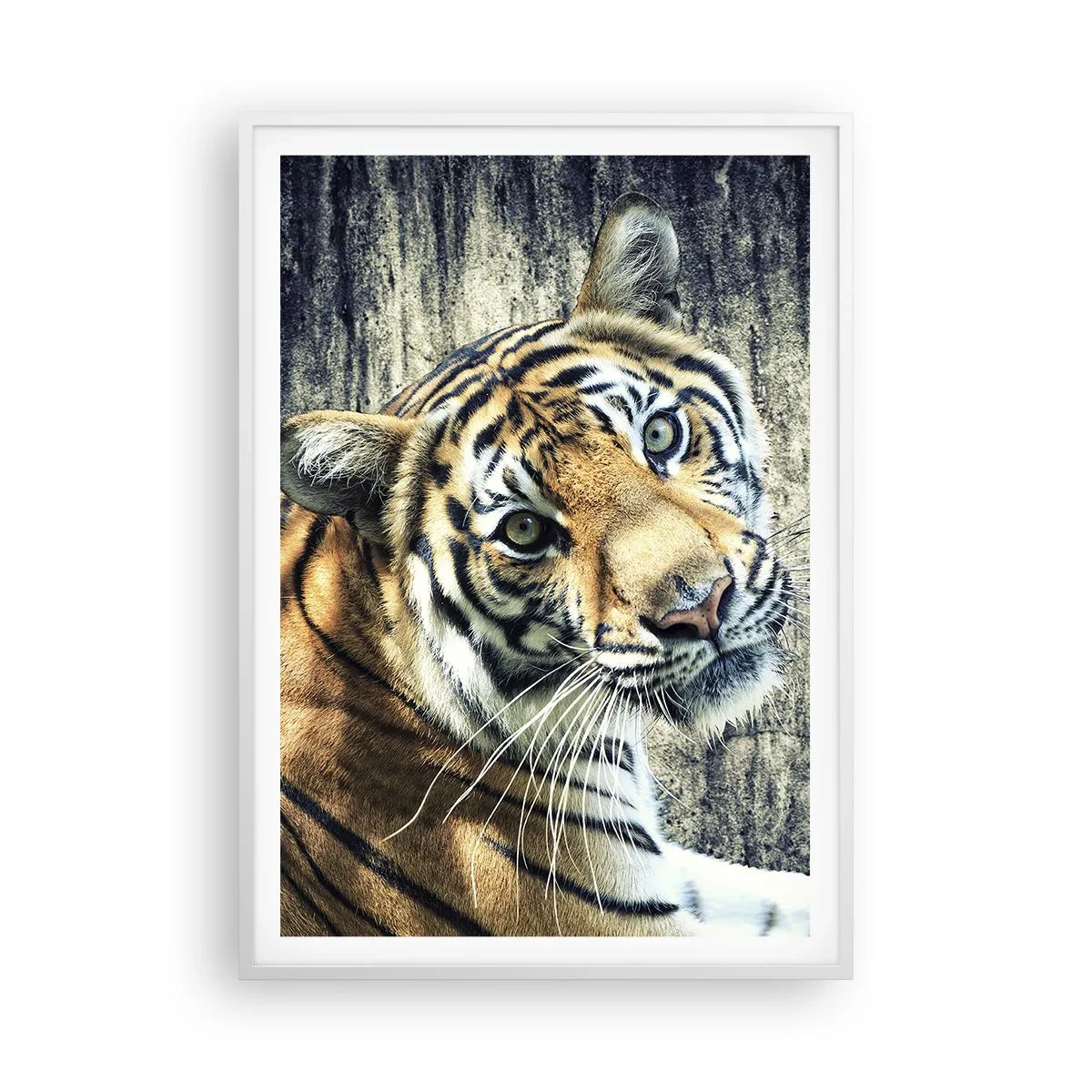 Plakat w białej ramie - Portret w strugach światła - 70x100 cm