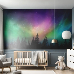 Fototapeta Premium Canvas - Biała magia - Krajobraz, Zorza Polarna, Gwiazdy - 100x70 cm