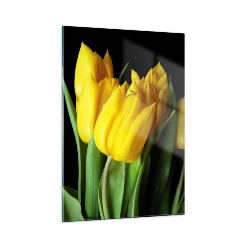 Obraz na szkle - Żółte tulipany na czarnym tle w eleganckim ujęciu - 50x70cm - Powstały z czystego słońca - Nowoczesna dekoracja ścienna do salonu, kuchni i sypialni ARTTOR