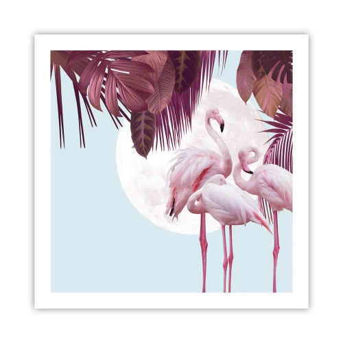 Plakat - Trzy ptasie gracje - 60x60 cm