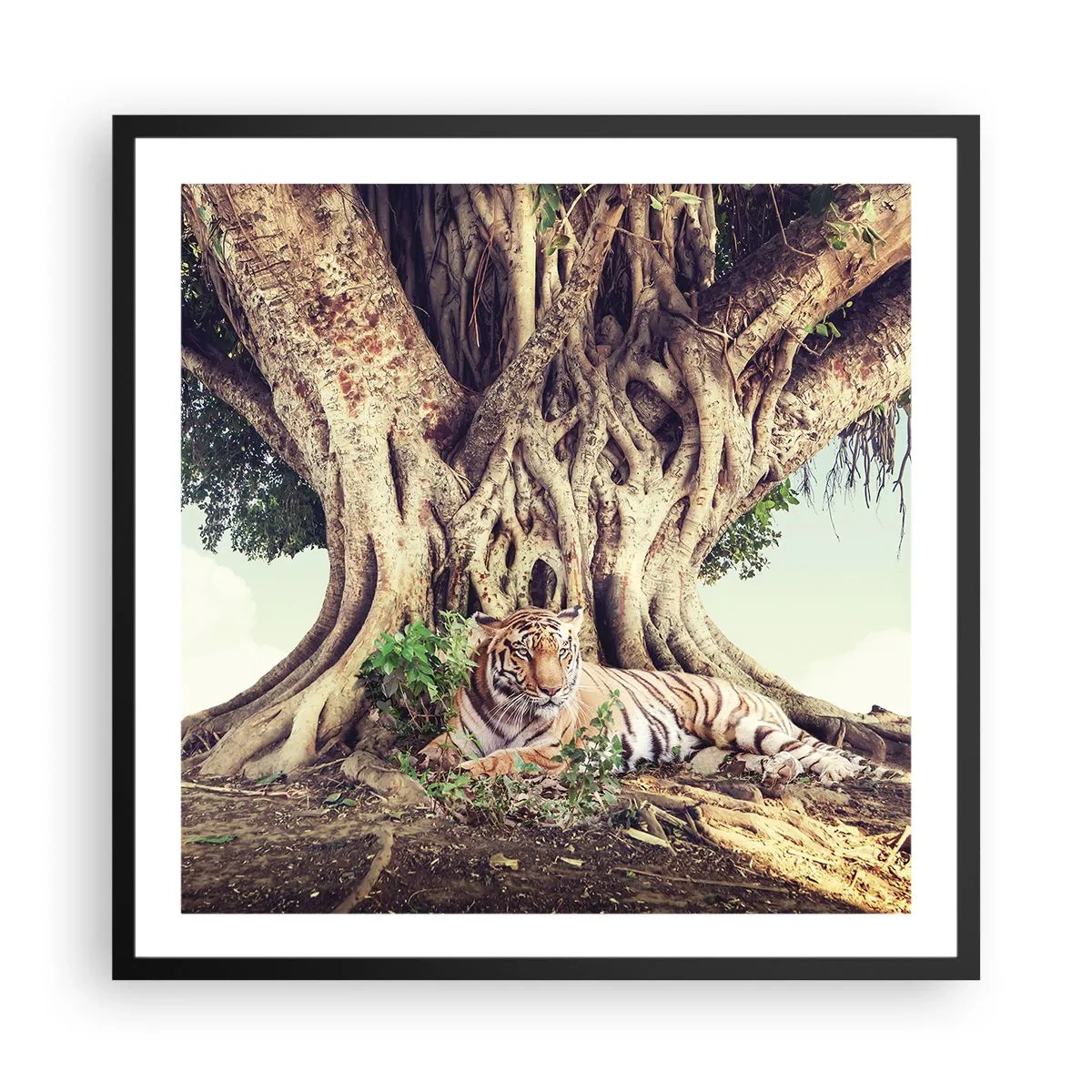 Plakat w czarnej ramie - Widok z Księgi Rodzaju - 60x60 cm