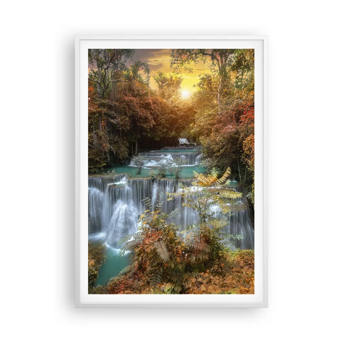 Plakat w białej ramie - Ukryty skarb lasu - 70x100 cm