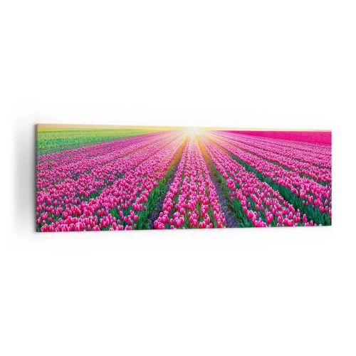 Obraz na płótnie - Pole tulipanów o zachodzie słońca - 160x50cm - Farma piękności - Nowoczesna dekoracja ścienna do salonu i sypialni ARTTOR