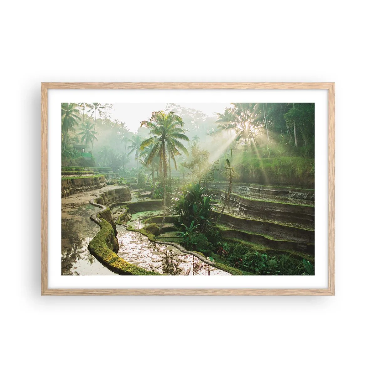 Plakat w ramie jasny dąb - Dorastać w słońcu - 70x50 cm