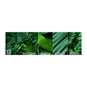 Fototapeta Próbka Samoprzylepna Deluxe Sticker - Utulone w zieleni - Roślina Egzotyczna, Liść Palmy, Liść Monstera - 100x30 cm