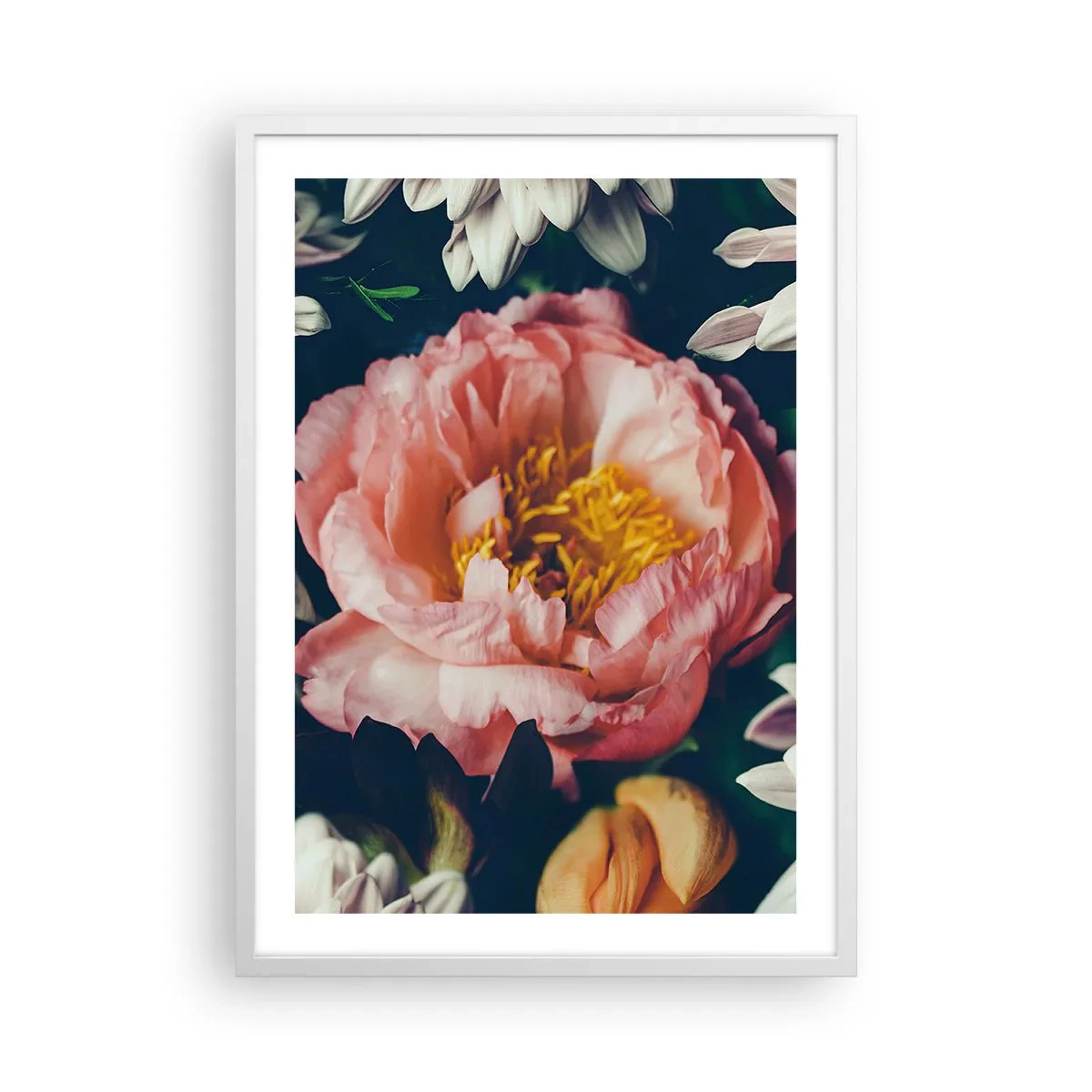 Plakat w białej ramie - Z barokowym przepychem - 50x70 cm
