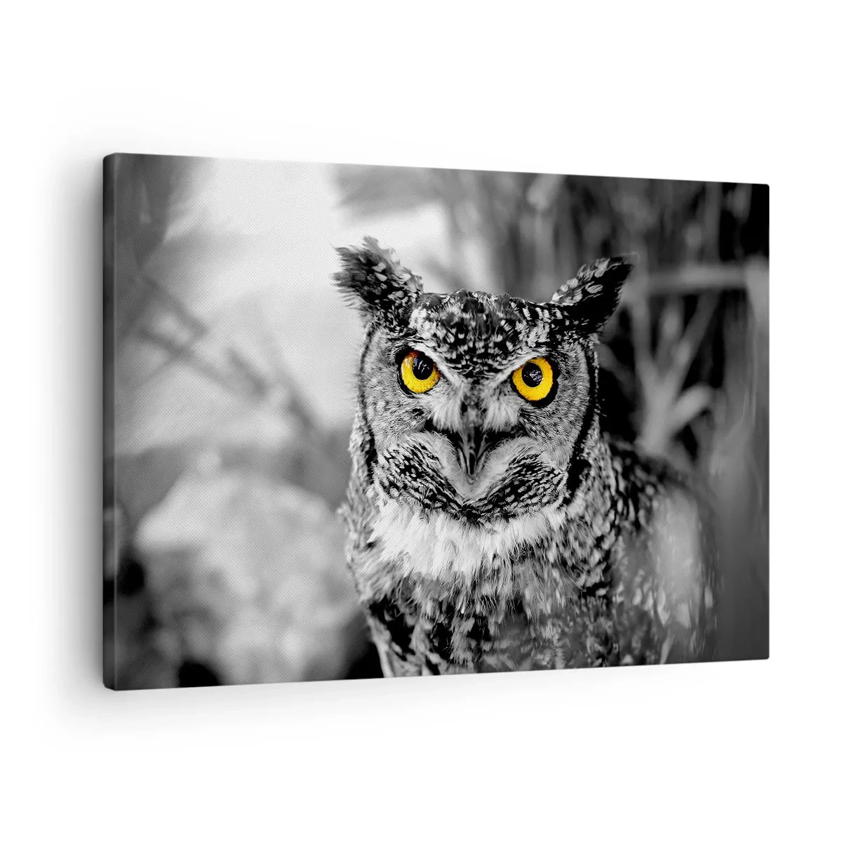 Obraz na płótnie - Sowa w czarno-białym ujęciu z żółtymi oczami - 70x50cm - Nic się nie ukryje - Nowoczesna dekoracja ścienna do salonu i sypialni ARTTOR