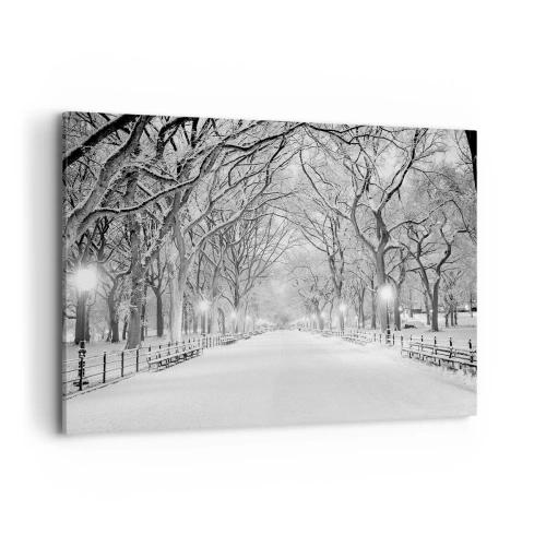 Obraz na płótnie - Zimowa alejka z drzewami pokrytymi śniegiem w monochromatycznym ujęciu - 120x80cm - Cztery pory roku – zima - Nowoczesna dekoracja ścienna do salonu, kuchni i sypialni ARTTOR