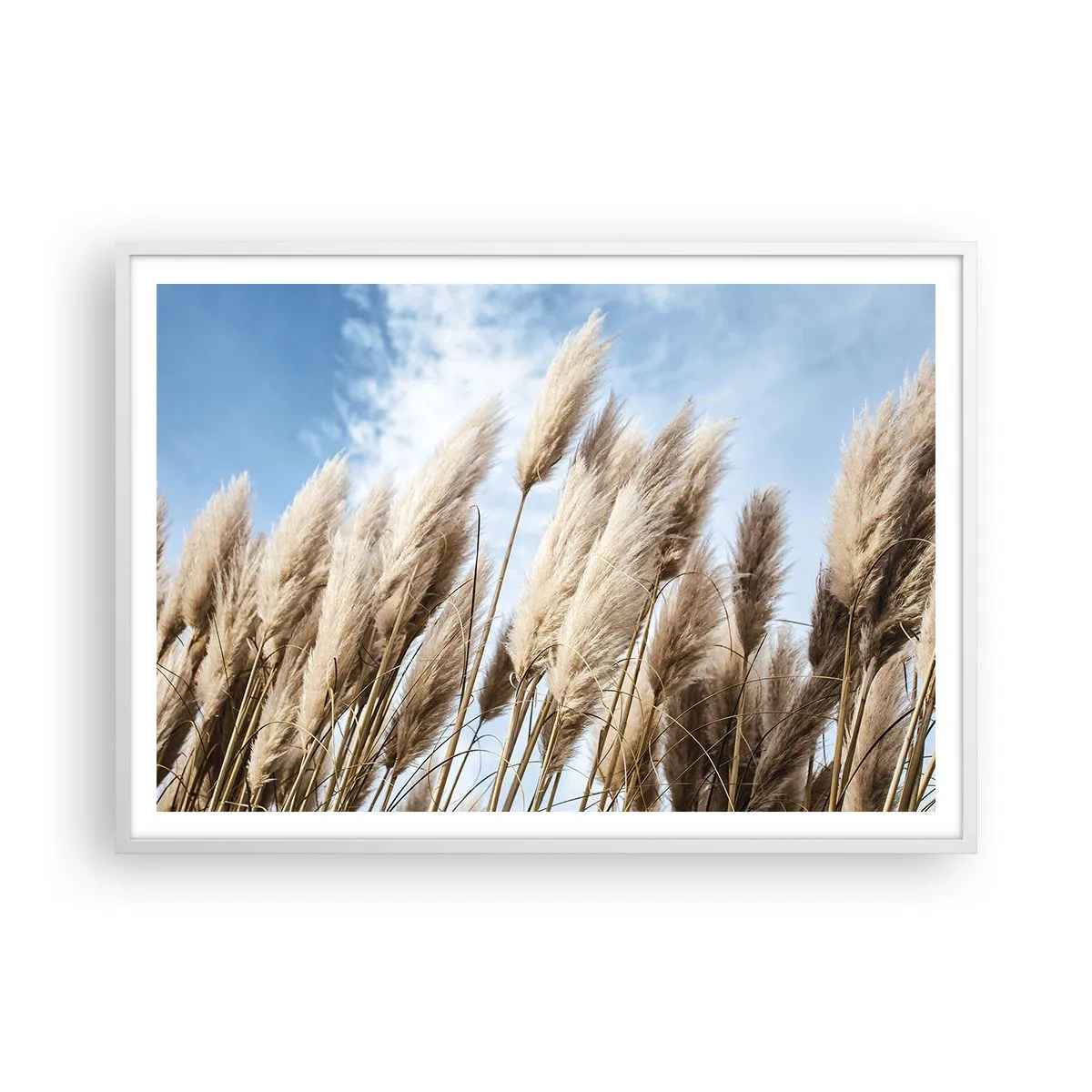 Plakat w białej ramie - Słoneczna i wietrzna pieszczota - 100x70 cm