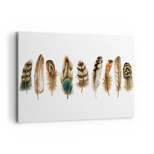 Obraz na płótnie - Dekoracyjny motyw kolekcji różnorodnych piór - 100x70cm - Pierzasta wariacja - Nowoczesna dekoracja ścienna do salonu, kuchni i sypialni ARTTOR