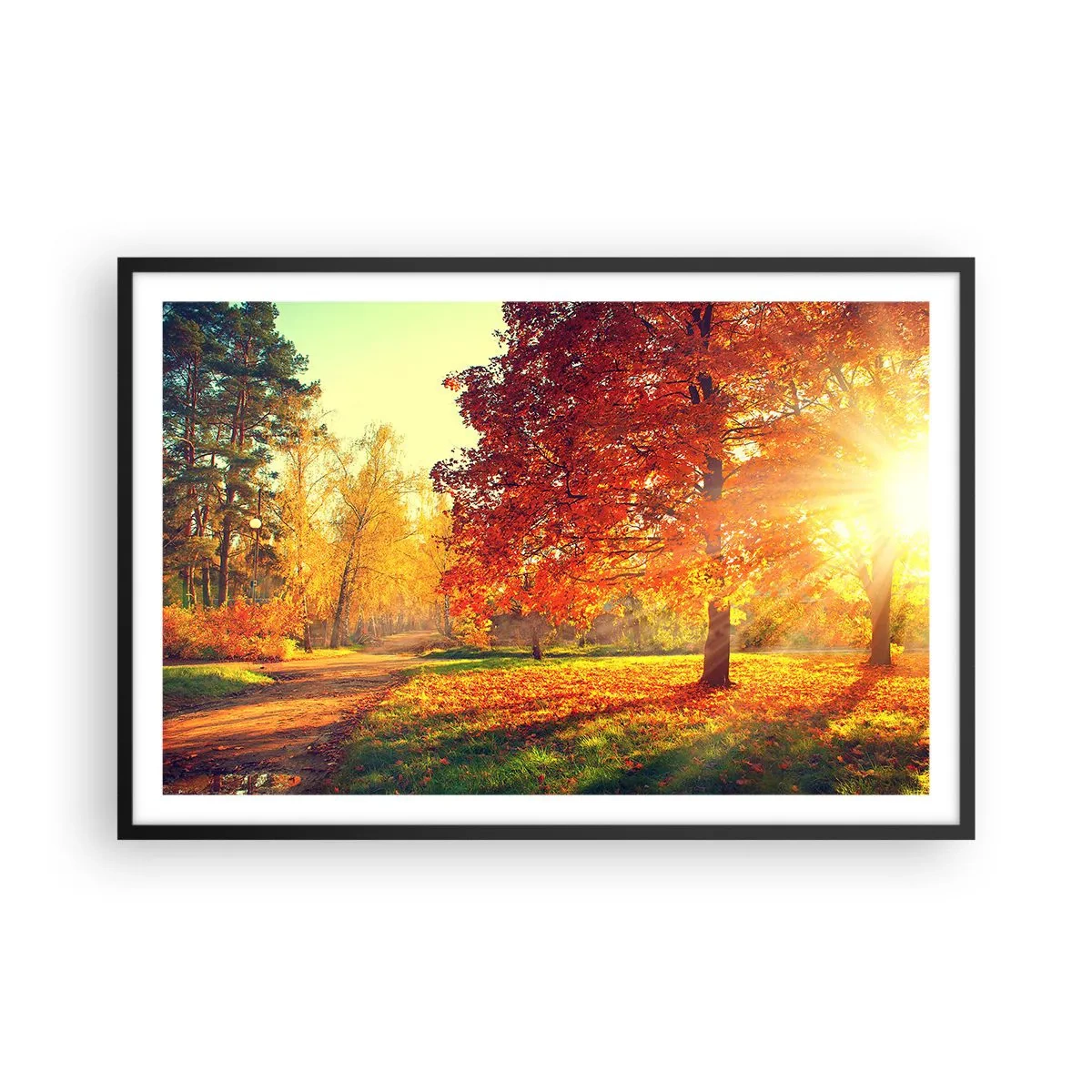 Plakat w czarnej ramie - Rude jest piękne - 91x61 cm